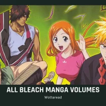 bleach manga volumes